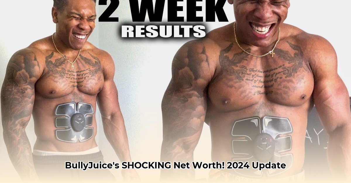 bullyjuice-net-worth